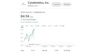 Cytokinetics Stocks Increase